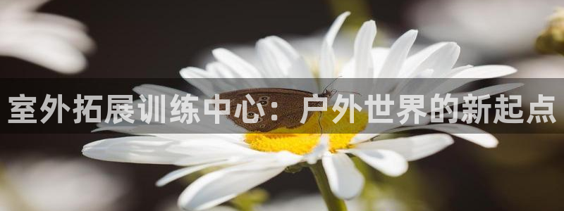 室外拓展训练中心：户外世界的新起点